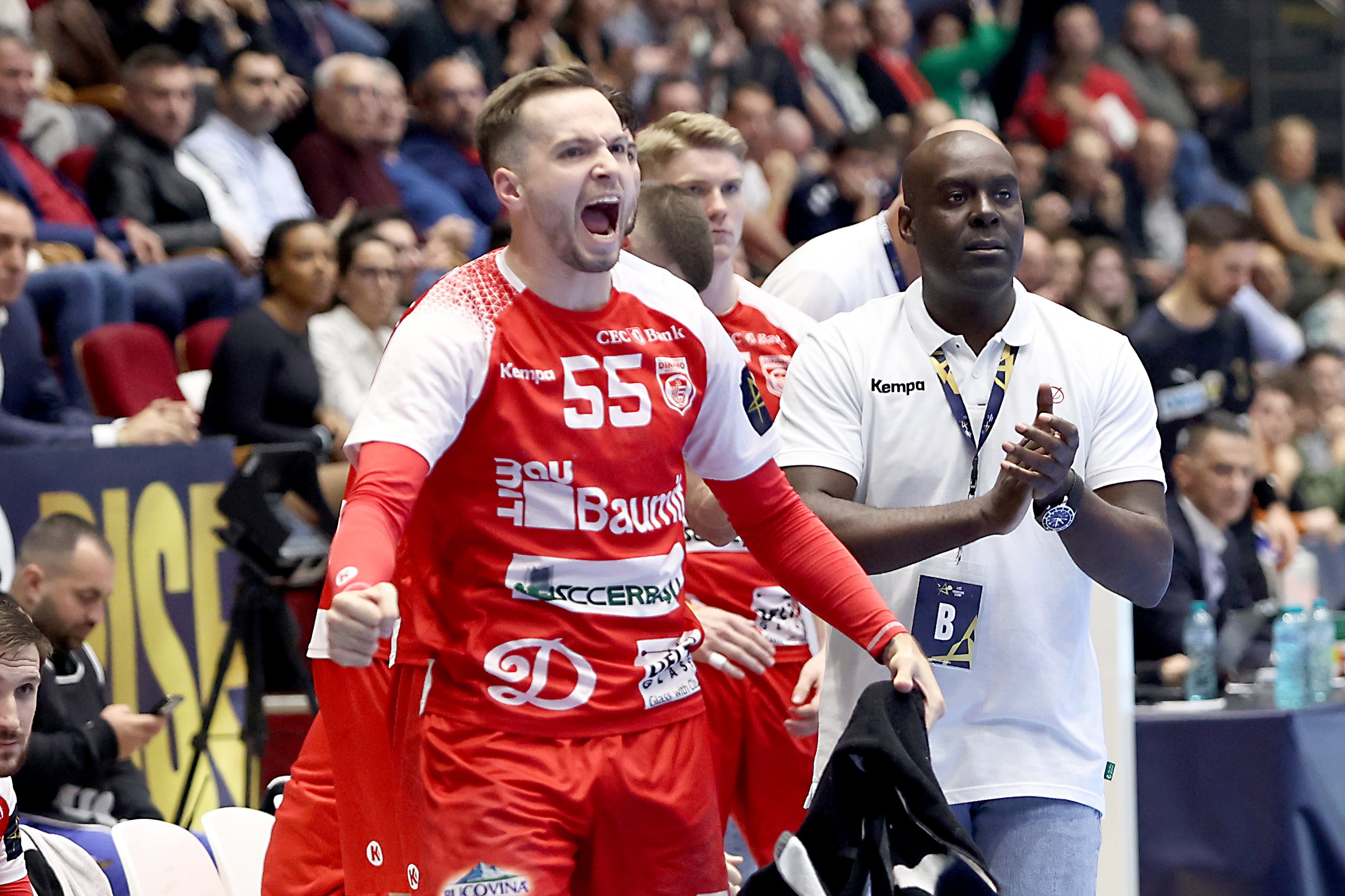 Dinamo Fuchse 01